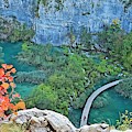 Plitvice Lakes View From Above Photograph by Yvonne Jasinski Plitvice Lakes View From Above Photograph by Yvonne Jasinski