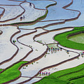 plowing and planting in Mu Cang Chai rice terraces Photograph by Khanh Bui Phu plowing and planting in Mu Cang Chai rice terraces Photograph by Khanh Bui Phu