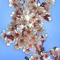 Plum Crazy Flowers II by Patrick Witz
