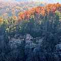 Point Trail At Obed 5 Photograph by Phil Perkins Point Trail At Obed 5 Photograph by Phil Perkins