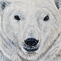 Polar Bear - Churchill Painting by Marilyn McNish Polar Bear - Churchill Painting by Marilyn McNish