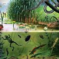 Pond Life Digital Art by Pennie McCracken Pond Life Digital Art by Pennie McCracken