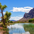 Pond reflections in Mohave Desert, Nevada Photograph by Tatiana Travelways Pond reflections in Mohave Desert, Nevada Photograph by Tatiana Travelways