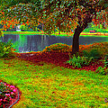 Pond View by CHAZ Daugherty
