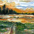 Ponderosa Marsh Deep Winter by Randy Sprout Ponderosa Marsh Deep Winter by Randy Sprout