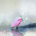 Pop of Pink by Jayne Carney
