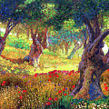 Poppies and Olive Trees by Jane Small