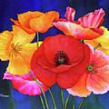 Poppies by Hailey E Herrera Poppies by Hailey E Herrera