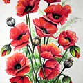 Poppies In Pastel by Karin Dawn Kelshall- Best Poppies In Pastel by Karin Dawn Kelshall- Best
