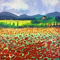 Poppies in Tuscany Painting by Stacey Zimmerman Poppies in Tuscany Painting by Stacey Zimmerman