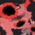 Poppies Digital Art by Ruth Harrigan Poppies Digital Art by Ruth Harrigan