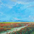 Poppy Field by Sinisa Saratlic Poppy Field by Sinisa Saratlic