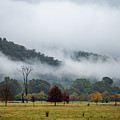 Porpunkah Fog Photograph by Vicki Walsh Porpunkah Fog Photograph by Vicki Walsh