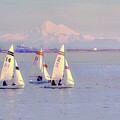 Port Angeles Sailing Regatta Digital Art by Bruce Block