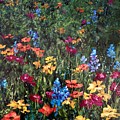 Posie Meadow by Zan Savage