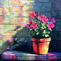 Pot of Pink Flowers by Caroline Swan