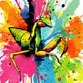 Praying Mantis 1 by Jerry McElroy