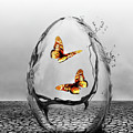 Precious Photograph by Jacky Gerritsen Precious Photograph by Jacky Gerritsen
