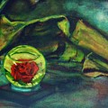 Preserved Rose . . Draped Canvas by Sean Connolly Preserved Rose . . Draped Canvas by Sean Connolly