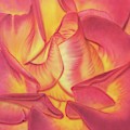 Pretty In Pink by Chris Naggy Pretty In Pink by Chris Naggy