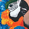 Pretty Polly Painting by Kathie Camara Pretty Polly Painting by Kathie Camara
