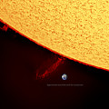 Prominence by Prabhu Astrophotography Prominence by Prabhu Astrophotography