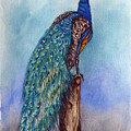 Proud Peacock Painting by Kelly Mills Proud Peacock Painting by Kelly Mills