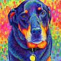 Psychedelic Rainbow Rottweiler Painting by Rebecca Wang Psychedelic Rainbow Rottweiler Painting by Rebecca Wang