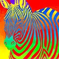 Psychedelic Rainbow Zebra Drawing by Rebecca Wang Psychedelic Rainbow Zebra Drawing by Rebecca Wang