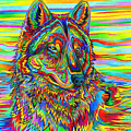Psychedelic Wolf Drawing by Rebecca Wang Psychedelic Wolf Drawing by Rebecca Wang