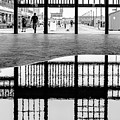 Puddle Photograph by Steve Stanger Puddle Photograph by Steve Stanger