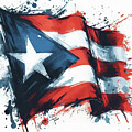 Puerto Rican Flag by Charlie Roman
