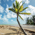 Puerto Rican Paradise, Loiza, Puerto Rico Photograph by Beachtown Views Puerto Rican Paradise, Loiza, Puerto Rico Photograph by Beachtown Views