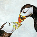 Puffin Luv by Karrie J Butler
