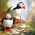 Puffins Painting by Espero Art Puffins Painting by Espero Art