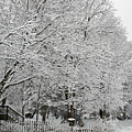 Purity of Snow - Square Photograph by Frank J Casella Purity of Snow - Square Photograph by Frank J Casella