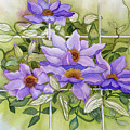 Purple Clematis Jackmanii On White Trellis Painting by Deborah League Purple Clematis Jackmanii On White Trellis Painting by Deborah League