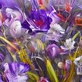 Purple Flowers Digital Art by Beverly Read Purple Flowers Digital Art by Beverly Read