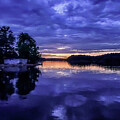 Purple Rain by Andrea Whitaker