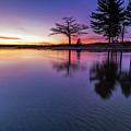 Purple Ripples Photograph by Joe Holley Purple Ripples Photograph by Joe Holley