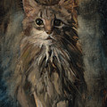 Purrfect by Billie Colson Purrfect by Billie Colson