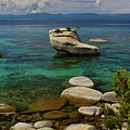 Bonsai Rock Photograph by John T Humphrey Bonsai Rock Photograph by John T Humphrey