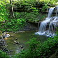 Quaker Falls by Chris Berrier