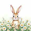 Rabbit in the Flowers by Kim Hojnacki