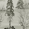 Raccoons in the Wild Winter Forest Mixed Media by David Dehner Raccoons in the Wild Winter Forest Mixed Media by David Dehner