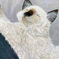 Ragdoll Cat Simba Painting by Karen Zuk Rosenblatt Ragdoll Cat Simba Painting by Karen Zuk Rosenblatt