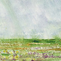 Rain on Me South Carolina Field Series by Elizabeth Reich
