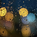 Rain Thirty by Rick Nelson