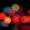 Rain Twenty-Eight by Rick Nelson