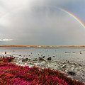Rainbow Photograph by Evgeni Dinev Rainbow Photograph by Evgeni Dinev